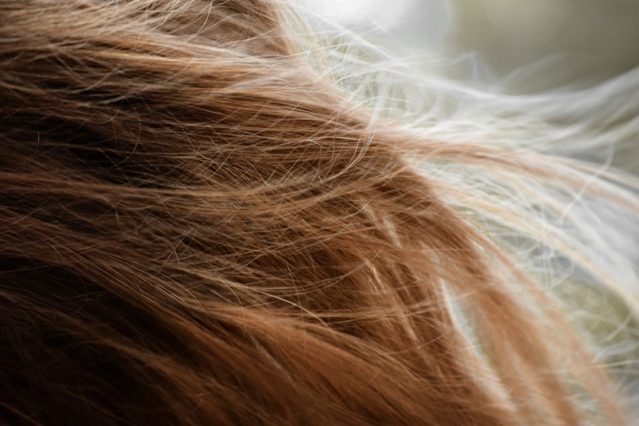Close-up of warm honey-toned hair